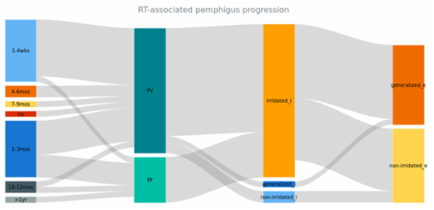 BCT Sankey Diagram 01 created by anonymous