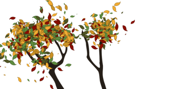 Tree created by anonymous