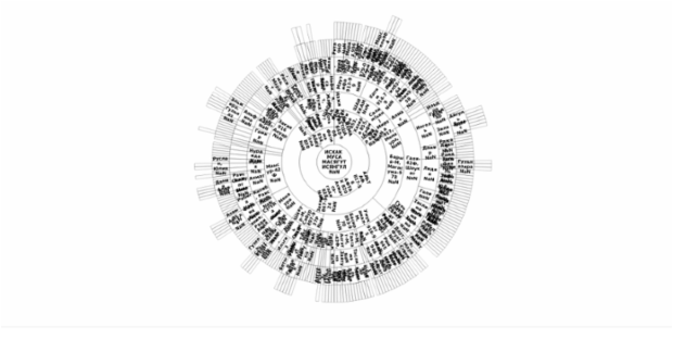 BCT Sunburst Chart 04 created by anonymous