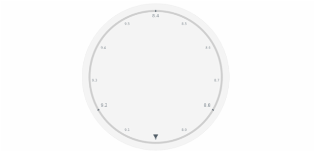 anychart.core.axes.Circular.minorLabels set asBool created by AnyChart Team