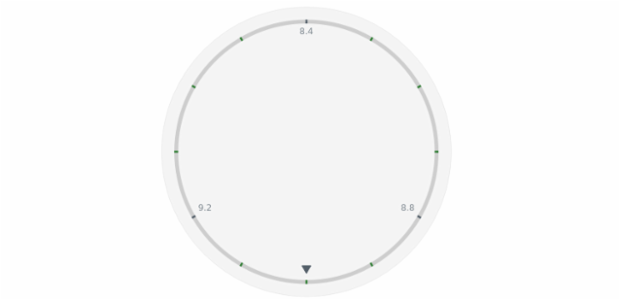 anychart.core.axes.Circular.minorTicks get created by AnyChart Team