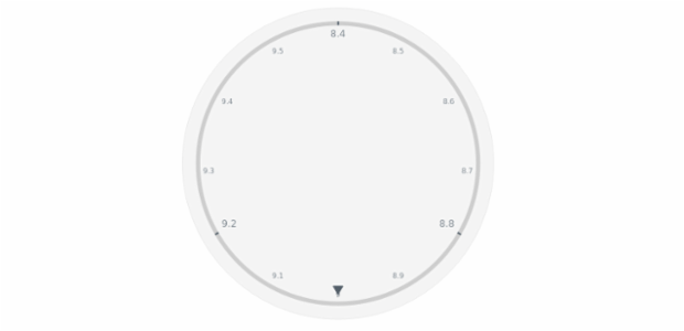anychart.core.axes.Circular.minorLabels get created by AnyChart Team