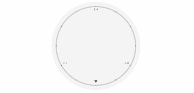 anychart.core.axes.Circular.minorTicks get created by AnyChart Team