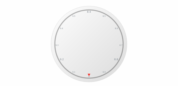 anychart.core.axes.Circular.minorLabels get created by AnyChart Team