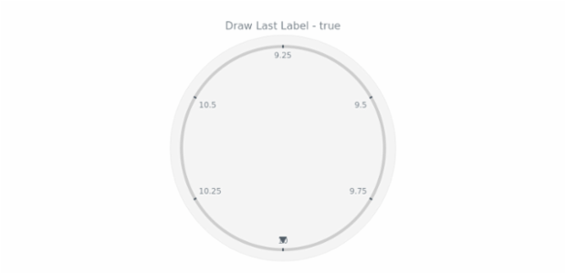 anychart.core.axes.Circular.drawLastLabel get created by AnyChart Team