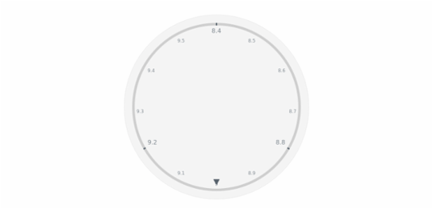 anychart.core.axes.Circular.minorLabels get created by AnyChart Team