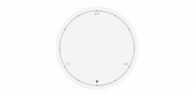 anychart.core.axes.Circular.minorTicks get created by AnyChart Team
