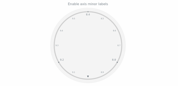 anychart.core.axes.Circular.minorLabels set asBool created by AnyChart Team