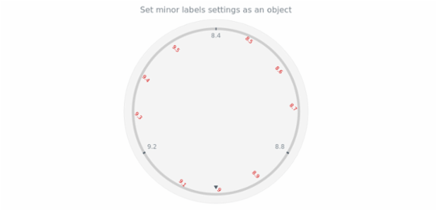 anychart.core.axes.Circular.minorLabels set asObject created by AnyChart Team