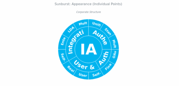 BCT Sunburst Chart 09 created by anonymous