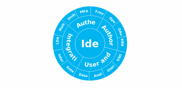 BCT Sunburst Chart 09 created by anonymous