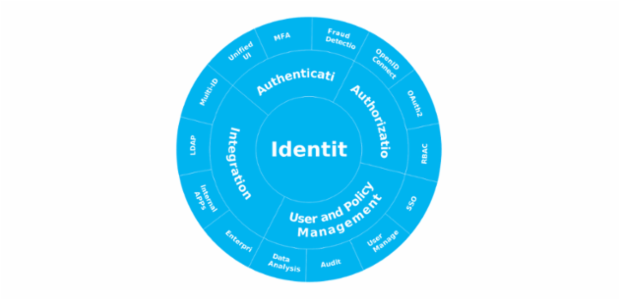 BCT Sunburst Chart 09 created by anonymous