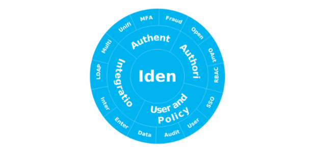 BCT Sunburst Chart 09 created by anonymous