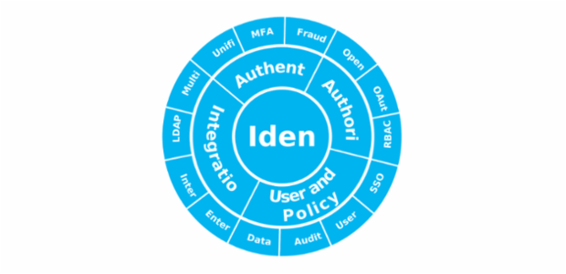 BCT Sunburst Chart 09 created by anonymous
