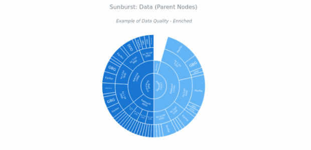BCT Sunburst Chart 02 created by anonymous