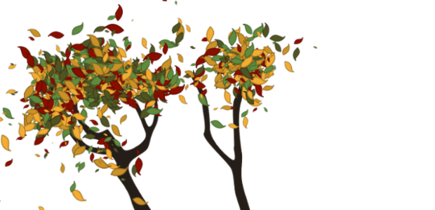 Tree created by anonymous