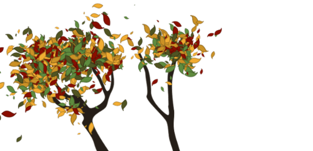 Tree created by anonymous