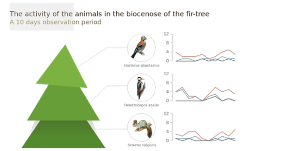 DB Stage 06 created by AnyChart Team
