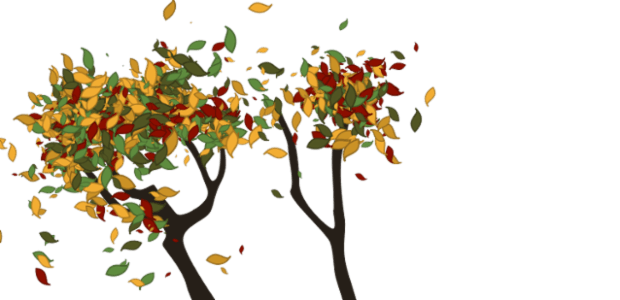 Tree created by anonymous