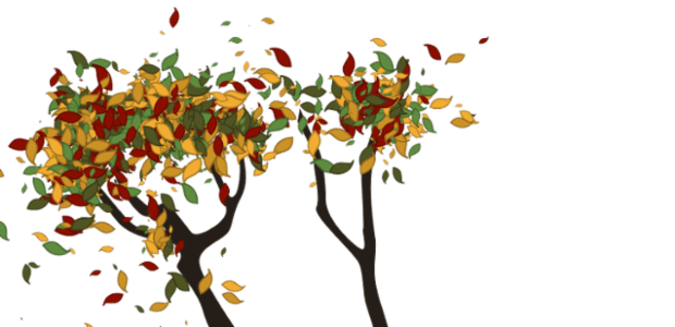 Tree created by anonymous