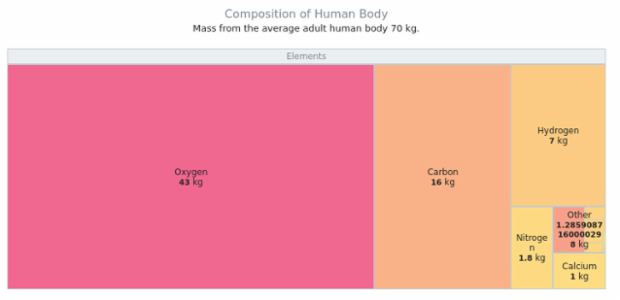 Composition of the human body created by AnyChart Team