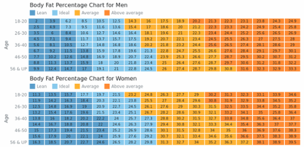 Body Fat Charts created by AnyChart Team, This dashboard contains two heat maps showing body fat percentage of men amd wemen with four ranges each of         different body types, from lean to 