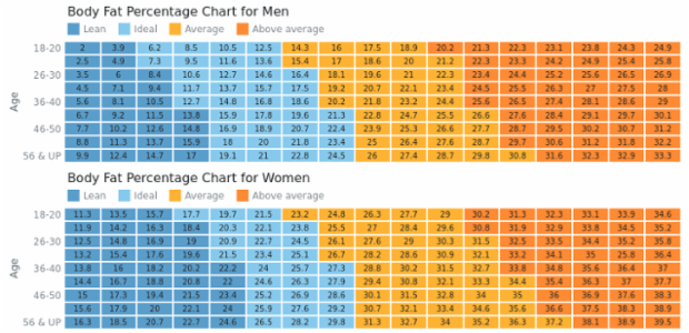 Body Fat Charts created by AnyChart Team, This dashboard contains two heat maps showing body fat percentage of men amd wemen with four ranges each of different body types, from lean to above average, using one color scale with four ranges and a legend for heat map.