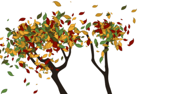 Tree created by anonymous