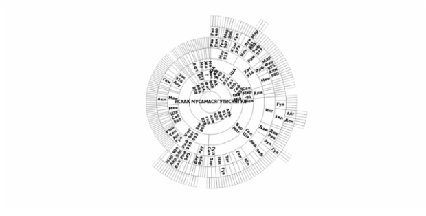BCT Sunburst Chart 04 created by anonymous
