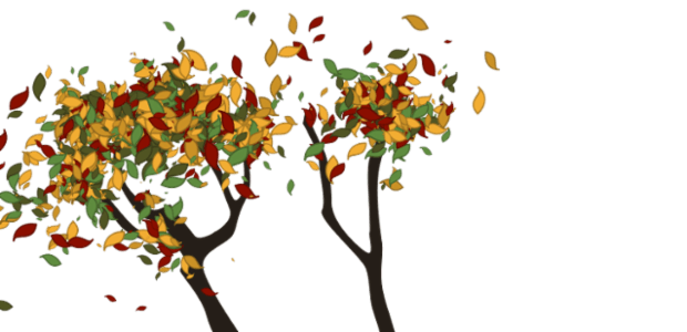 Tree created by anonymous