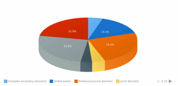 anychart.pie3d created by anonymous