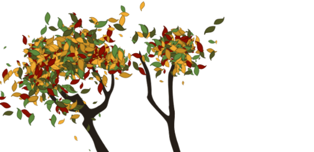 Tree created by anonymous