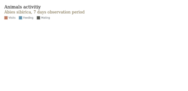 Animals Activity created by anonymous