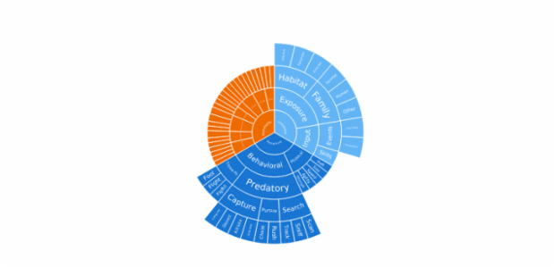 Sunburst Chart created by anonymous, A Sunburst chart visualizes hierarchical data structures. It represents a root node surrounded by rings of deeper hierarchy moving outward from the center. The angle of each segment depends on the value of its parent node or on its own value.