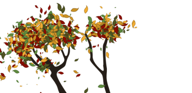 Tree created by anonymous