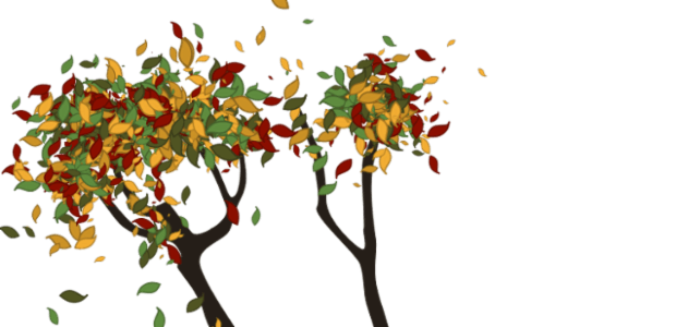 Tree created by anonymous