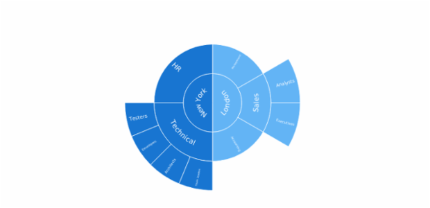 BCT Sunburst Chart 02 created by anonymous