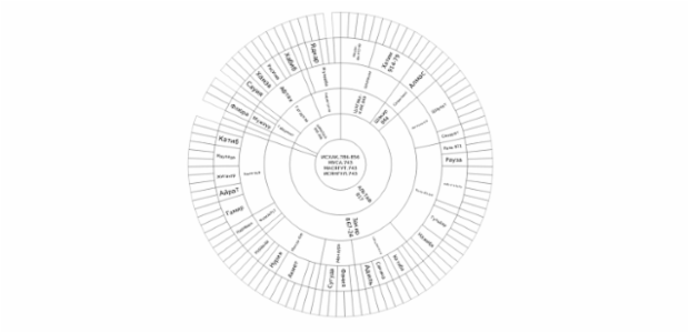 BCT Sunburst Chart 04 created by anonymous