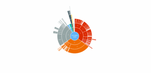 BCT Sunburst Chart 01 created by anonymous