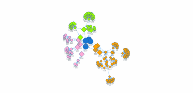 BCT Network Graph 01 created by anonymous