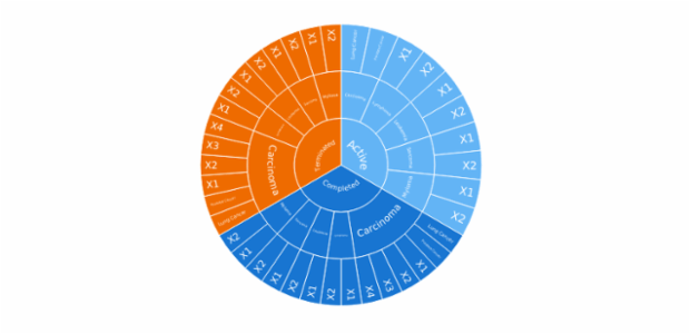 Sunburst Chart created by anonymous, A Sunburst chart visualizes hierarchical data structures. It represents a root node surrounded by rings of deeper hierarchy moving outward from the center. The angle of each segment depends on the value of its parent node or on its own value.