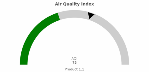 Gauge chart created by anonymous