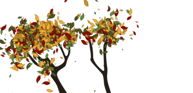 Tree created by anonymous