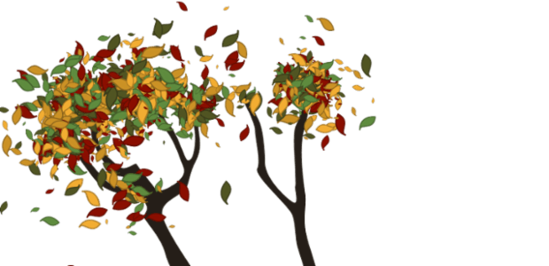 Tree created by anonymous