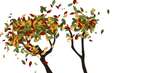 Tree created by anonymous