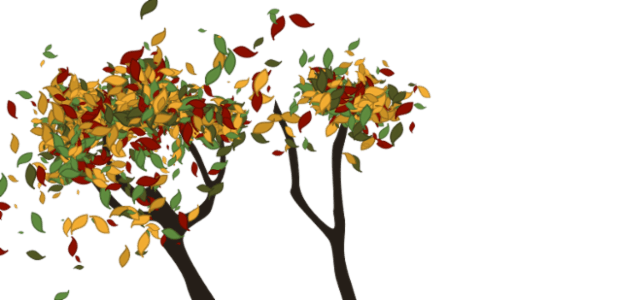 Tree created by anonymous