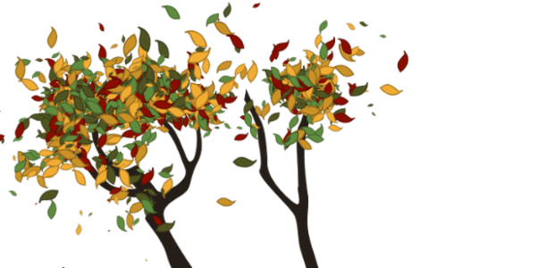 Tree created by anonymous