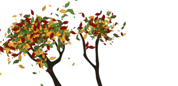 Tree created by anonymous