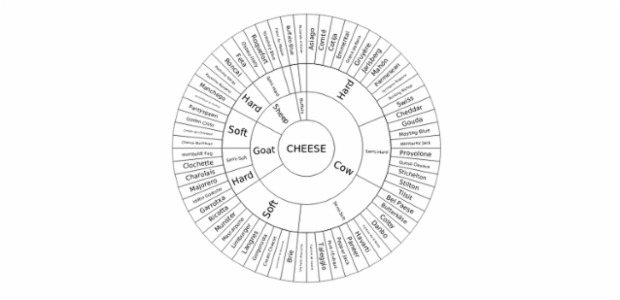 BCT Sunburst Chart 01 created by anonymous