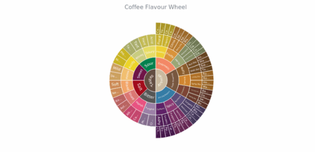 Coffee Flavour Wheel created by anonymous, Sunburst Chart: coffee aroma and taste